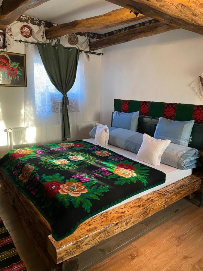 Casa Cezara Apartment Silvasu de Jos Bagian luar foto