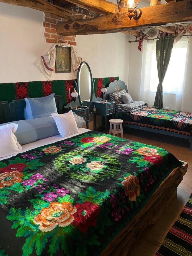 Casa Cezara Apartment Silvasu de Jos Bagian luar foto