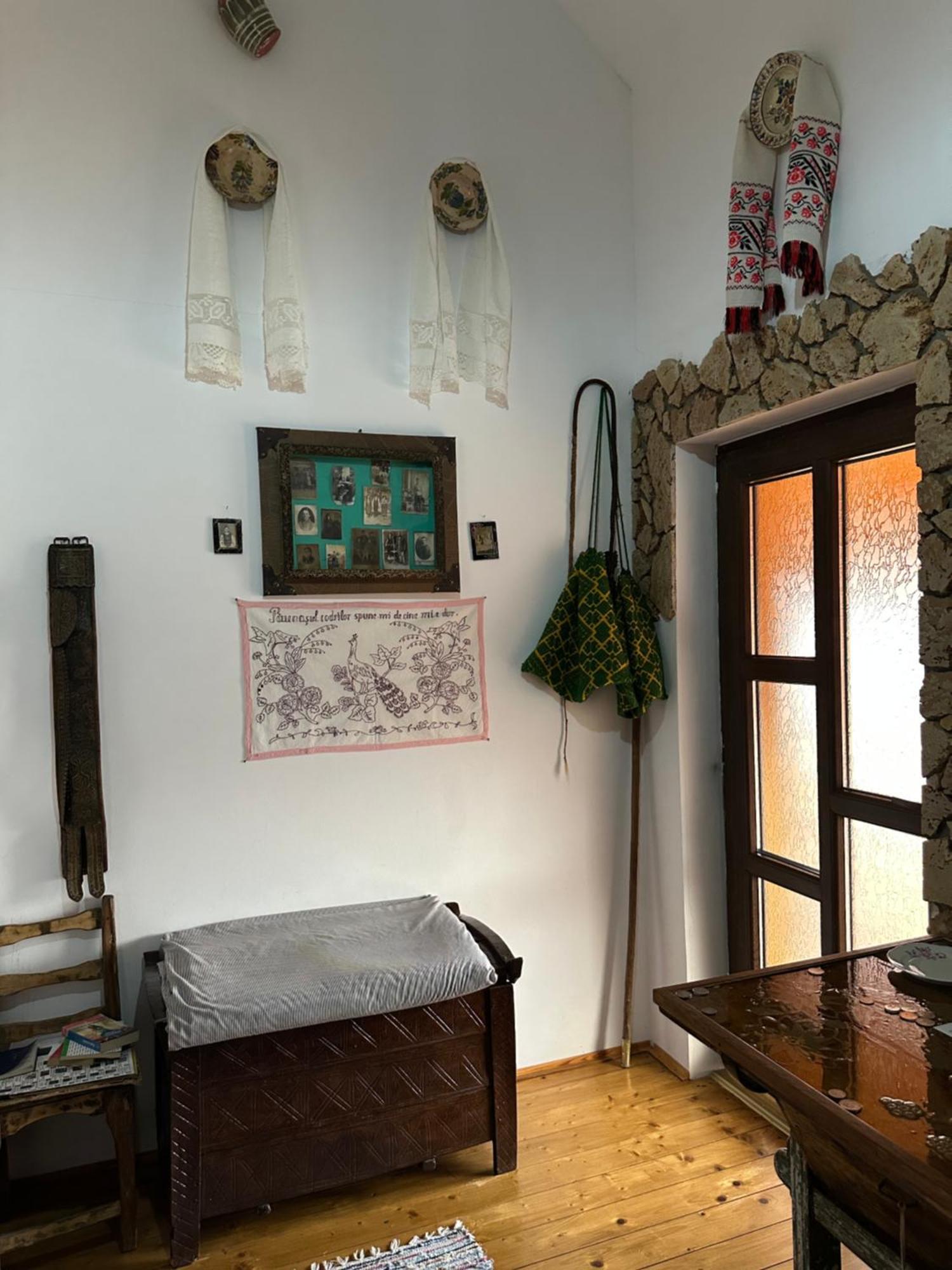 Casa Cezara Apartment Silvasu de Jos Bagian luar foto