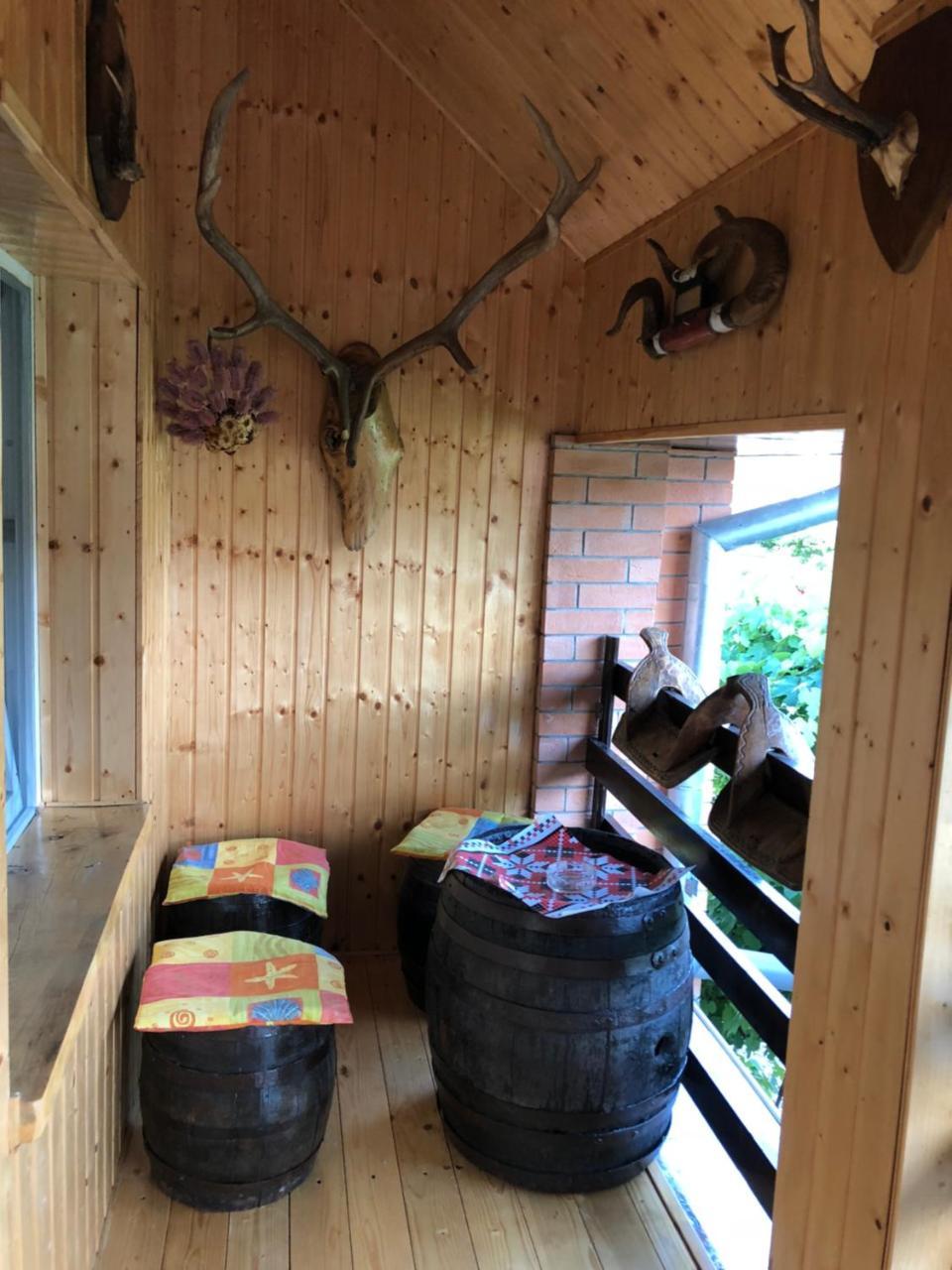 Casa Cezara Apartment Silvasu de Jos Bagian luar foto